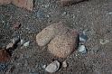 Vacation 060